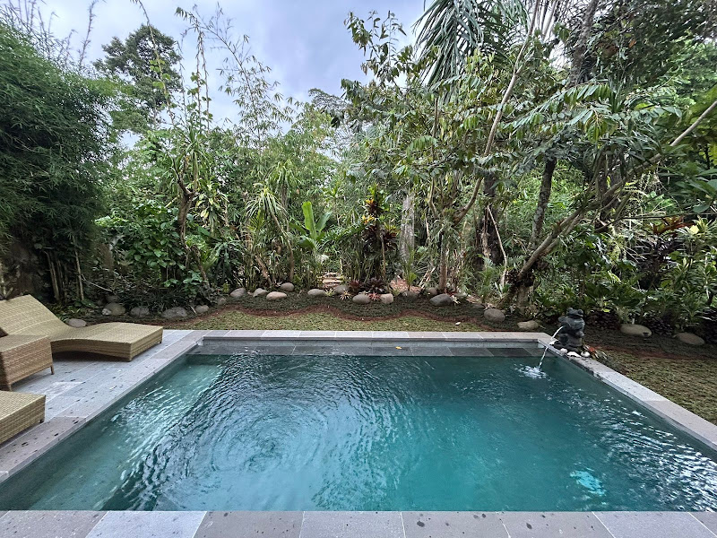 3 спальни · Kedewatan, Ubud — фото 1