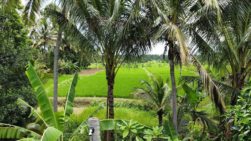 1 спальня · Carangsari — фото 2