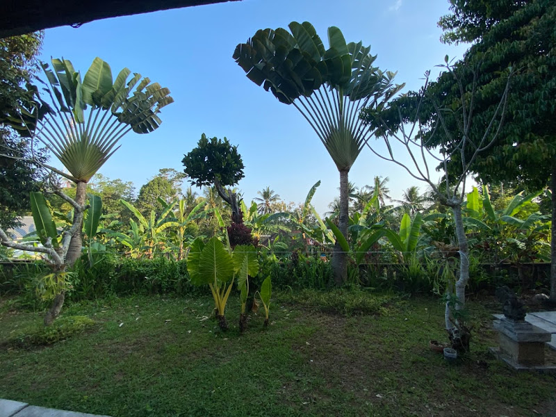 1 Bedroom · Gianyar — photo 4