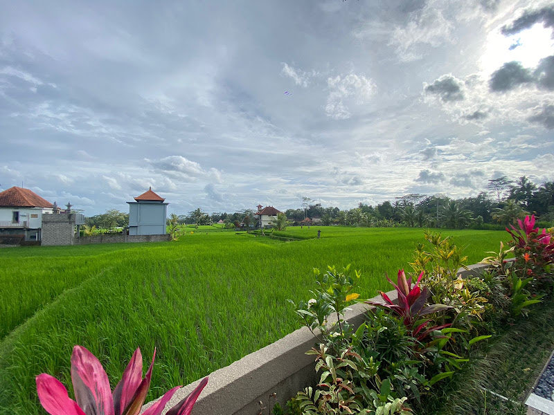 1 спальня · Keliki, Ubud — фото 6