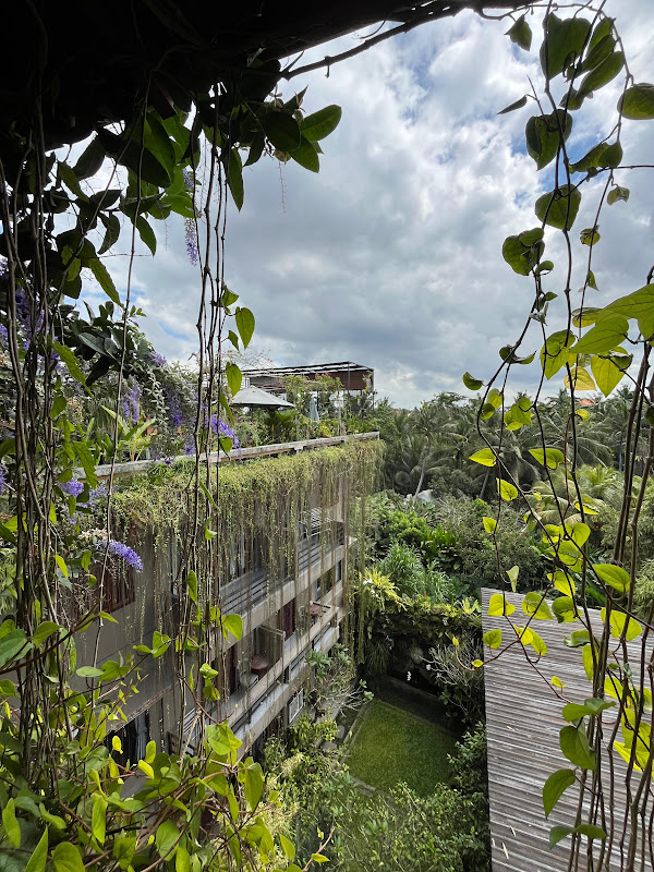 1 спальня · Andong, Ubud — фото 6
