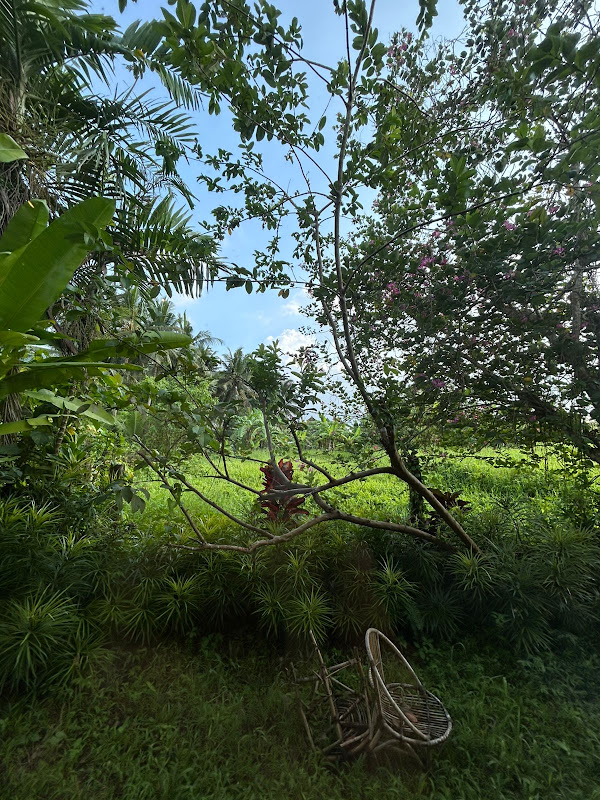 2 спальни · Penestanan, Ubud — фото 3