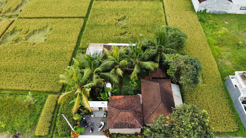 3 спальни · Sayan, Ubud — фото 2