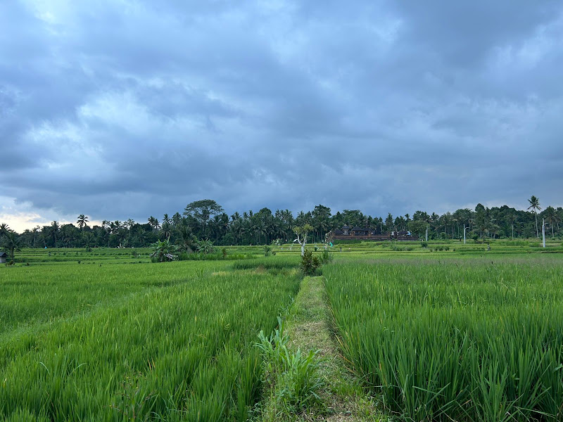 2 спальни · Bongkasa, Ubud — фото 1