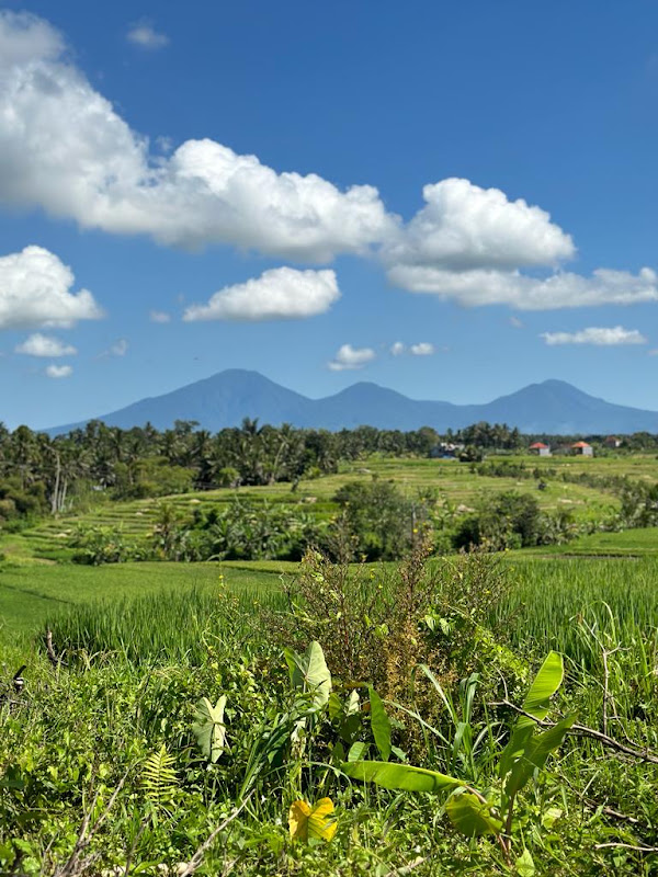 2 спальни · Abiansemal, 25mins From Ubud — фото 1