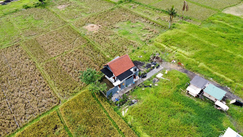 1 спальня · Singakerta, Ubud — фото 1