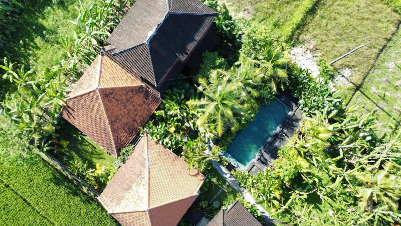 1 спальня · Penestanan, Ubud — фото 1