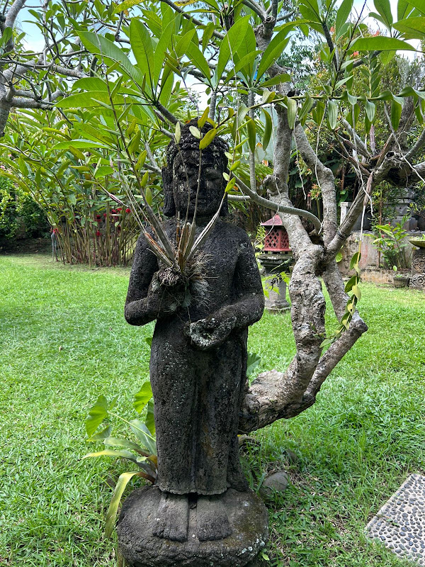 1 спальня · Lodtunduh, Ubud — фото 3