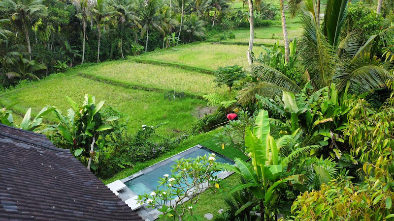 2 спальни · Pejeng Kangin, Ubud — фото 6