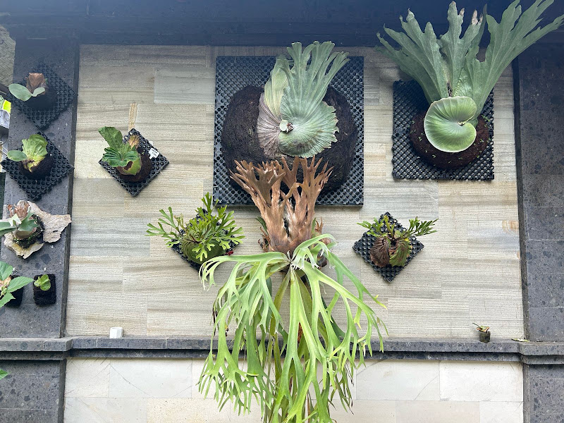 1 спальня · Bongkasa, Ubud — фото 3