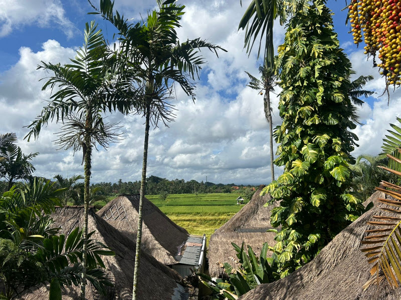 6+ спален · Lodtunduh, Ubud — фото 1
