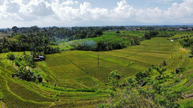 1 спальня · Abiansemal, 25mins From Ubud — фото 2