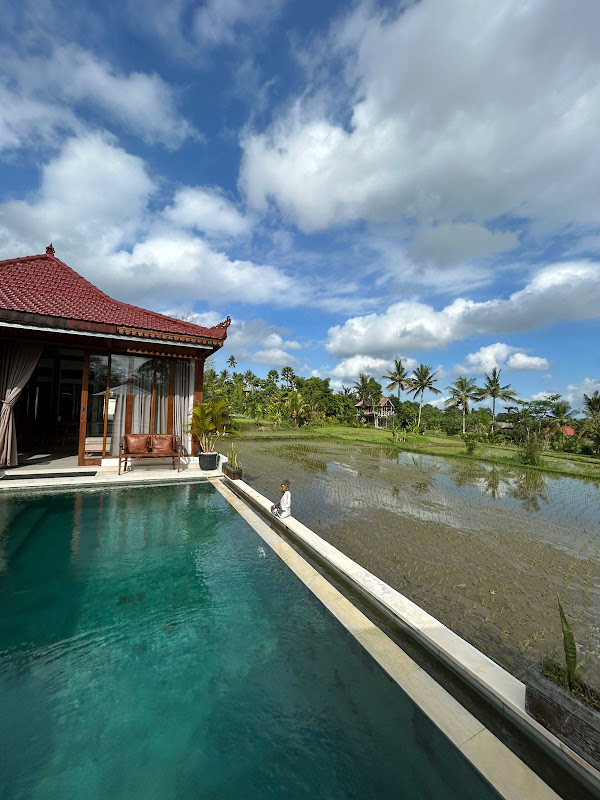 2 спальни · Pejeng Kangin, Ubud — фото 1