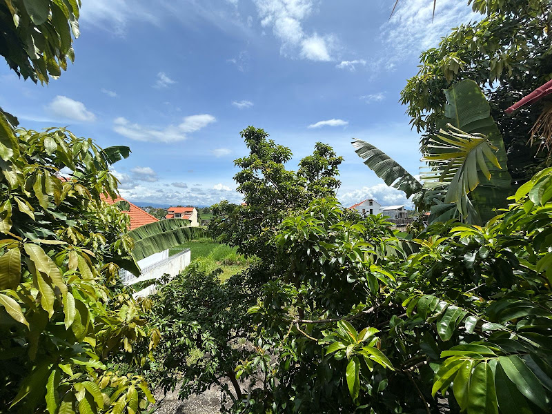 1 спальня · Singakerta, Ubud (Near Sayan, Nyuh Kuning) — фото 1