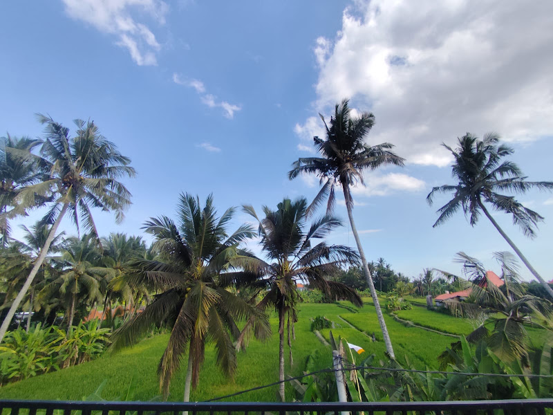 2 Bedrooms · Petulu, Ubud — photo 2