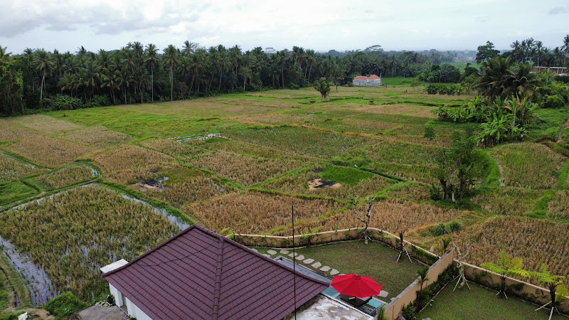 1 спальня · Pejeng, Ubud (Close To Center) — фото 1