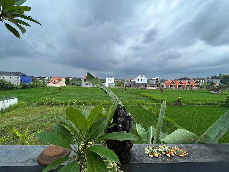 1 спальня · Singakerta, Ubud (Near Sayan, Nyuh Kuning) — фото 5
