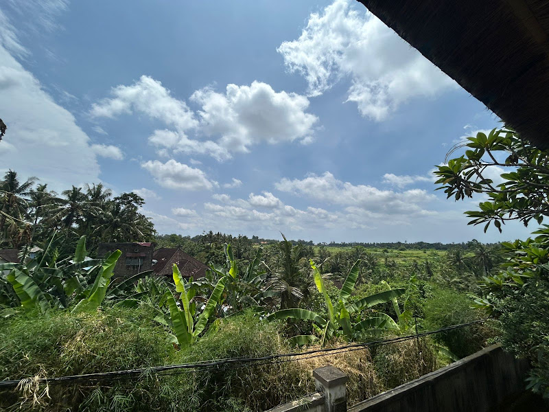 1 спальня · Near Nyuh Kuning, Ubud — фото 2
