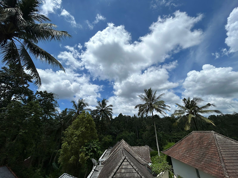 2 спальни · Kedewatan, Ubud (Bangkiangsidem) — фото 1