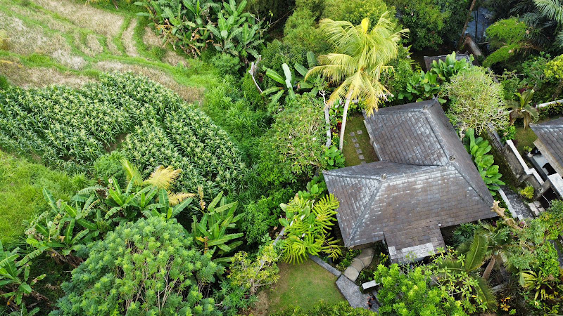 1 спальня · Abiansemal, 25mins From Ubud — фото 1