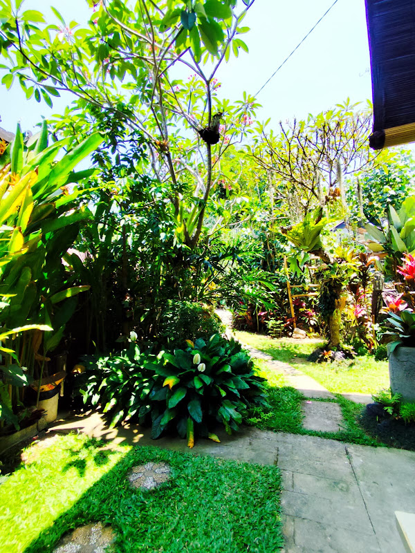 1 Bedroom · Singakerta, Ubud (Near Nyuh Kuning) — photo 3