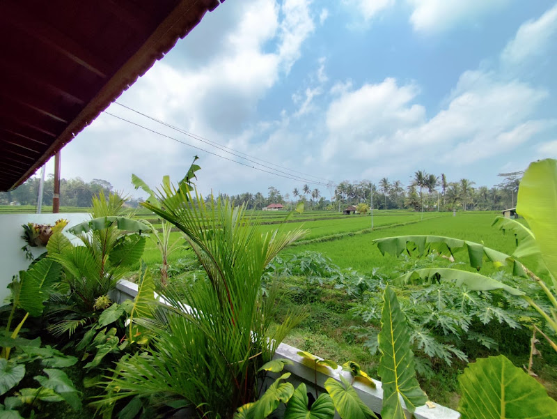 1 Bedroom · Keliki, Ubud — photo 3