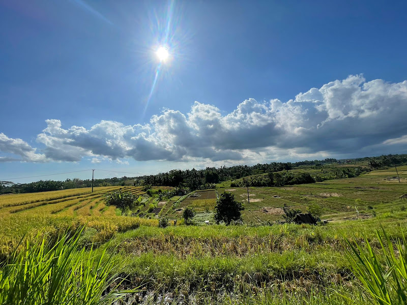 2 спальни · Abiansemal, 25mins From Ubud — фото 3